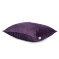 Dark Violet 1.jpg