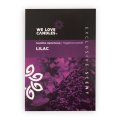 Lilac_Front.jpg